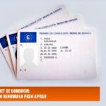 como se renueva el carnet de conducir