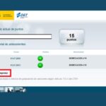 consultar puntos del carnet de conducir